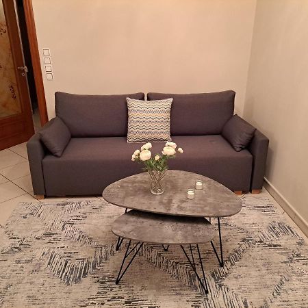 约阿尼纳Elena House公寓 外观 照片